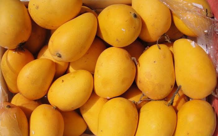 Read more about the article Mango – The King of Fruits and its Health Benefits
