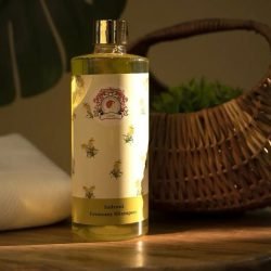 WhatsApp Image 2025-03-24 at 12.02.14 PM (3)